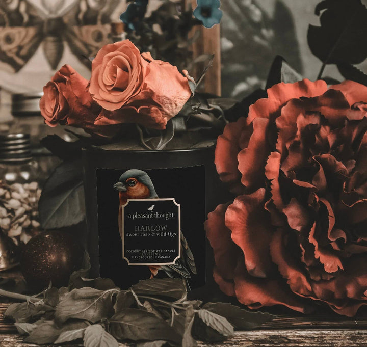 A Pleasant Thought - HARLOW | SWEET ROSE & WILD FIGS | RAVEN CANDLE