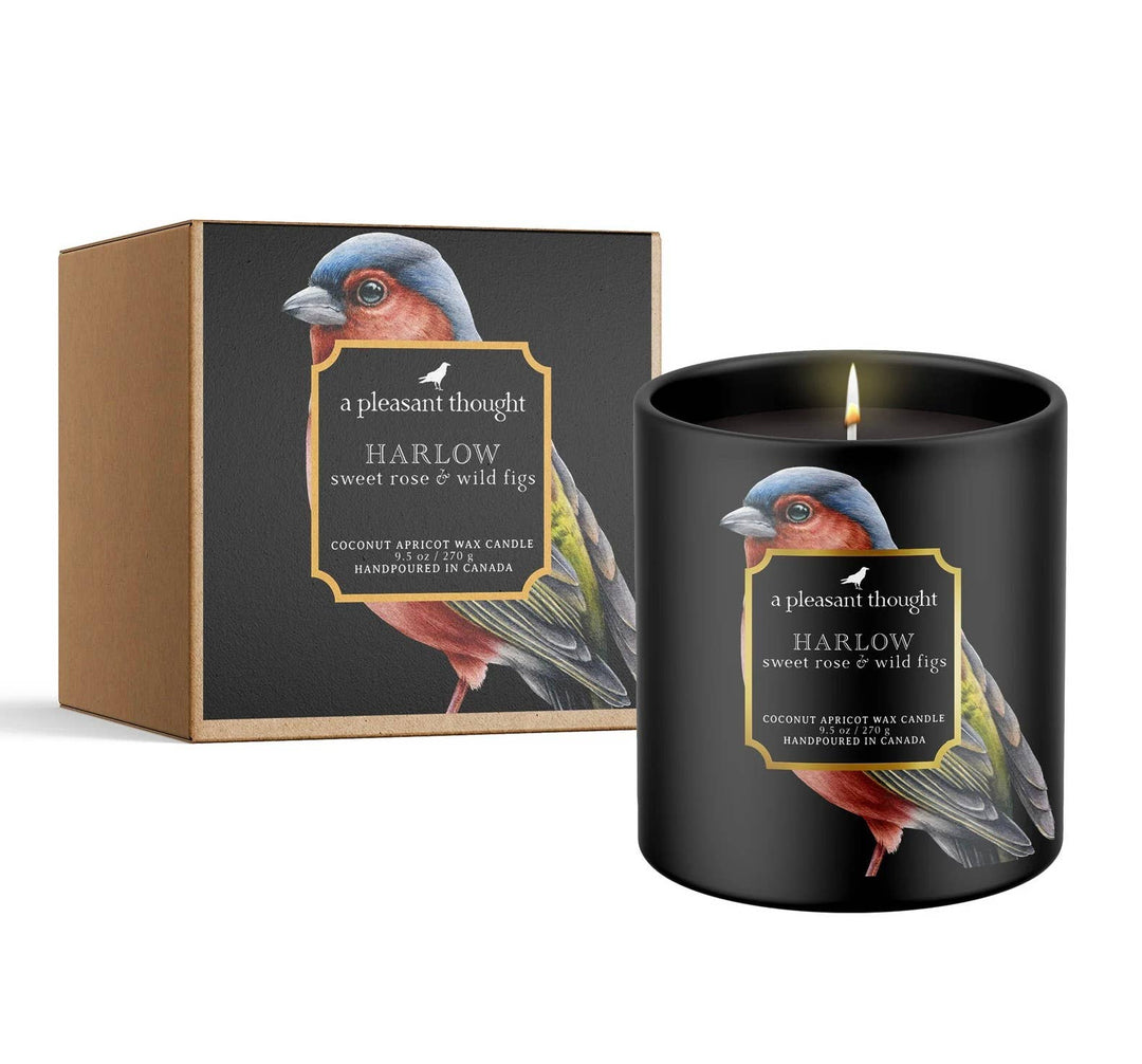 A Pleasant Thought - HARLOW | SWEET ROSE & WILD FIGS | RAVEN CANDLE