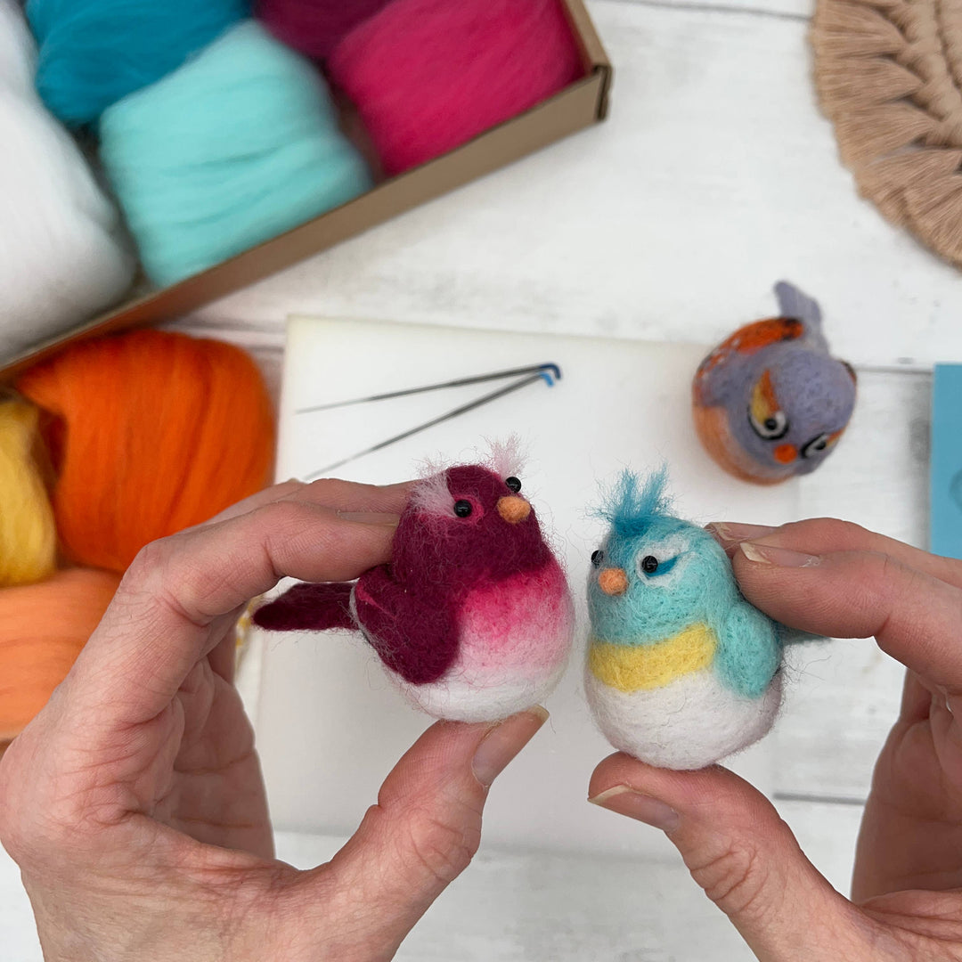 Bergin & Bath - Needle Felting Kit, Baby Birds