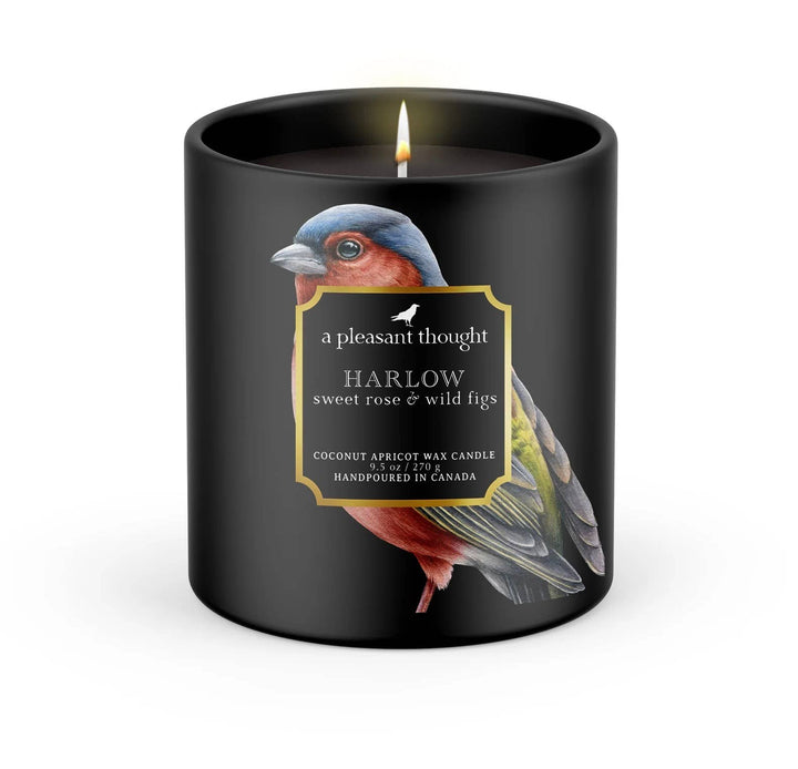 A Pleasant Thought - HARLOW | SWEET ROSE & WILD FIGS | RAVEN CANDLE